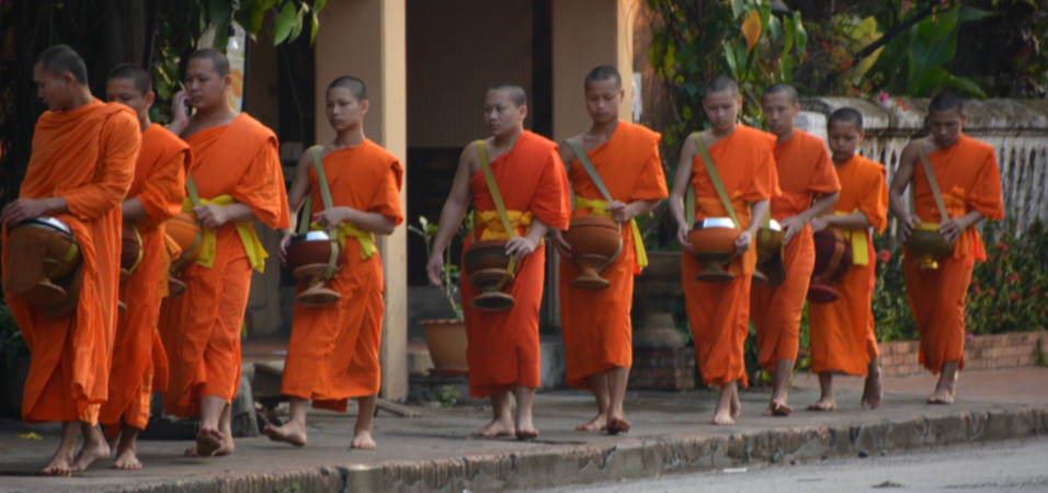alms-featured